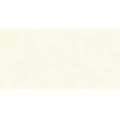 Ảnh Gạch Viglacera TL4807 1