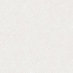 Ảnh Gạch Viglacera VHP6609 3