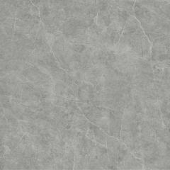 Ảnh Gạch Viglacera VHP6616 3