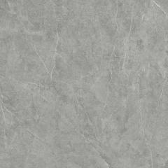 Ảnh Gạch Viglacera VHP6616 2