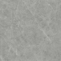 Ảnh Gạch Viglacera VHP6616 1