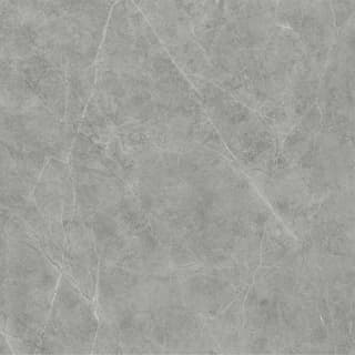 Ảnh Gạch Viglacera VHP6616 1
