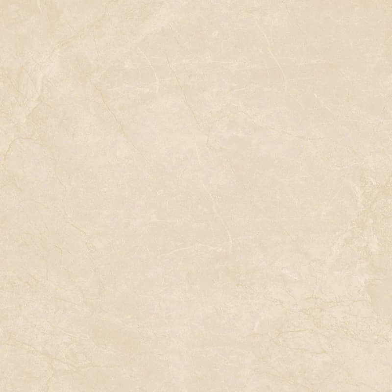 Gạch Viglacera VHP8802