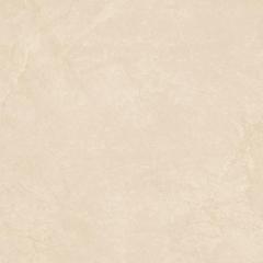 Ảnh Gạch Viglacera VHP8802 1