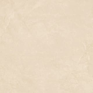 Ảnh Gạch Viglacera VHP8802 1