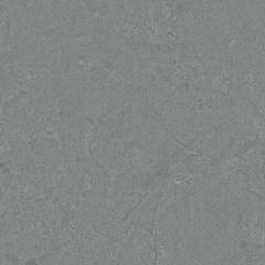 Ảnh Gạch Viglacera VHP8803 2