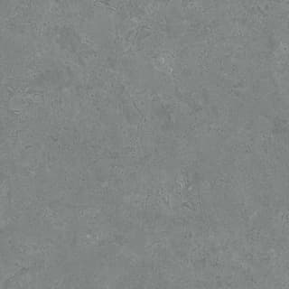 Ảnh Gạch Viglacera VHP8803 3