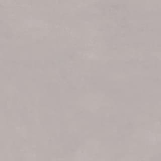 Ảnh Gạch Viglacera VHP8805 1