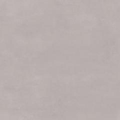 Ảnh Gạch Viglacera VHP8805 3