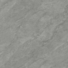 Ảnh Gạch Viglacera VHP8808 2