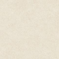 Ảnh Gạch Viglacera VHP8810 3