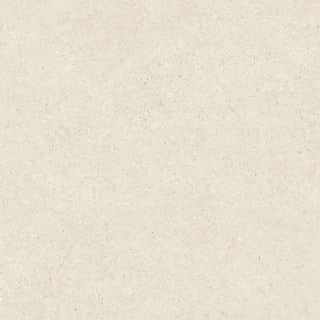 Ảnh Gạch Viglacera VHP8810 3