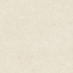 Ảnh Gạch Viglacera VHP8810 1