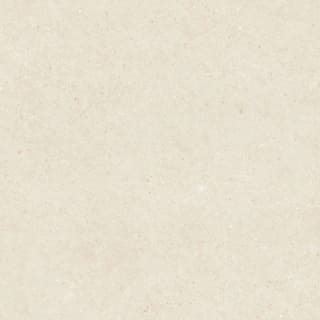 Ảnh Gạch Viglacera VHP8810 1