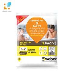 Ảnh Keo chít mạch Weber.color Power 1