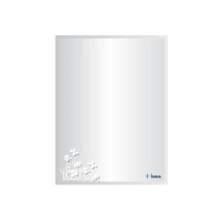 Ảnh Gương nhà tắm Hobig HB5-005 (50x70) 1