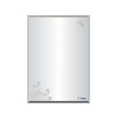 Ảnh Gương nhà tắm Hobig HBS5-009 1