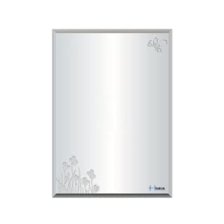 Ảnh Gương nhà tắm Hobig HBS5-009 1
