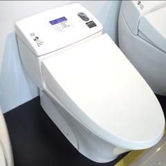 Ảnh Bồn cầu 1 khối Inax AC-1008VRN 2