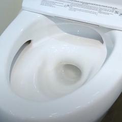 Ảnh Bồn cầu 1 khối Inax AC-1035VN 2