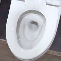 Ảnh Bồn cầu 1 khối Inax AC-1135VN 2