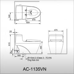 Ảnh Bồn cầu 1 khối Inax AC-1135VN 4
