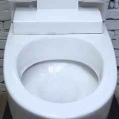 Ảnh Bồn cầu 1 khối Inax AC-2700VN 4