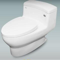 Ảnh Bồn cầu 1 khối Inax AC-4005VN 2