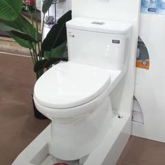 Ảnh Bồn cầu 1 khối inax AC-969VN 5