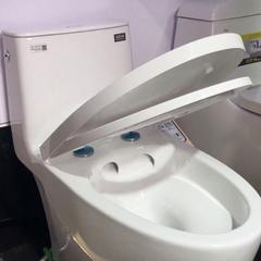 Ảnh Bồn cầu 1 khối Inax ACT-902VN 3