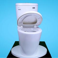 Ảnh Bồn cầu 2 khối Inax AC-700VAN 5