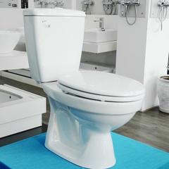 Ảnh Bồn cầu 2 khối Inax C-108VA 2