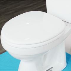 Ảnh Bồn cầu 2 khối Inax C-108VA 3