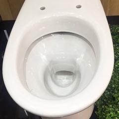 Ảnh Bồn cầu 2 khối Inax C-306VAN 3