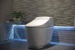 Ảnh Bồn cầu 1 khối inax AC-1032VN 4