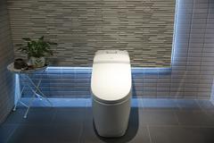 Ảnh Bồn cầu 1 khối inax AC-1032VN 3