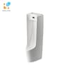 Bồn tiểu nam Inax AFU-600VAC 1