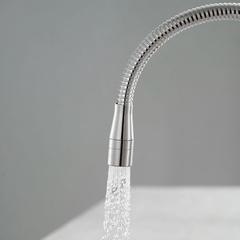 Ảnh Vòi rửa bát Inax SFV-303S 5