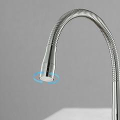 Ảnh Vòi rửa bát Inax SFV-303S 3