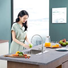 Ảnh Vòi rửa bát Inax SFV-303S 2