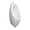 Ảnh Bồn tiểu nam JOMOO P13065-1-1Z/31K-1 1
