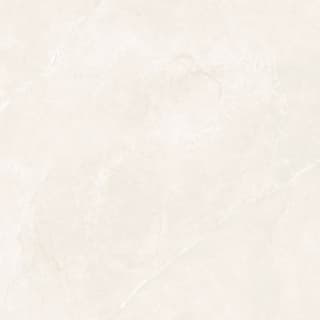 Ảnh Gạch Malaysia CSM6602 3