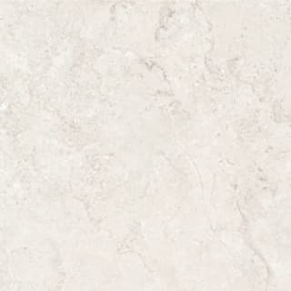 Ảnh Gạch Malaysia HLM66024 1