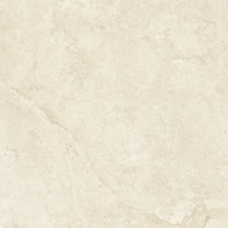 Ảnh Gạch Malaysia HLM66025 2