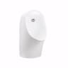 Bồn tiểu nam Moen SW6151HPG 1