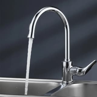 Ảnh Vòi rửa bát Moen GN60201 2