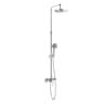 Sen tắm cây Roca A5A9790C00 1