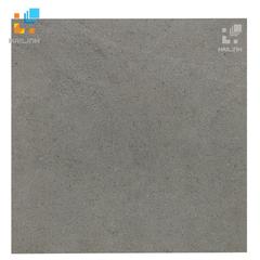 Ảnh Gạch TAICERA P6060 STGR 1