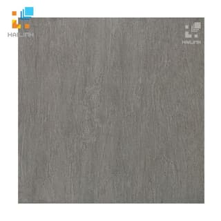 Ảnh Gạch Taicera G68988 1