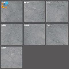 Ảnh Gạch Taicera G68818 3